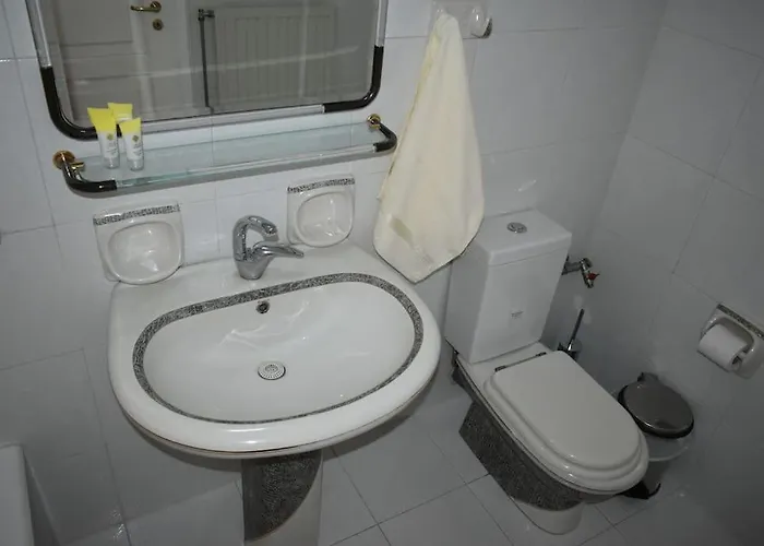 Comfortable Opposite The Park Apartment